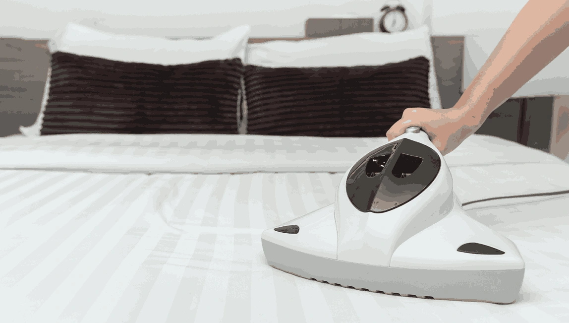 Professional Mattress Cleaning Surrey Hills